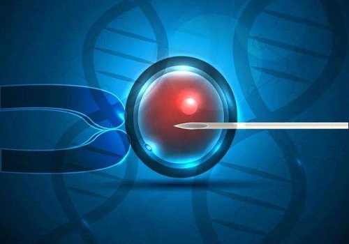 試管技術(shù)做一對多少錢