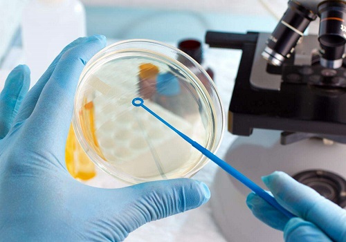 美國試管嬰兒費用可以報銷嗎