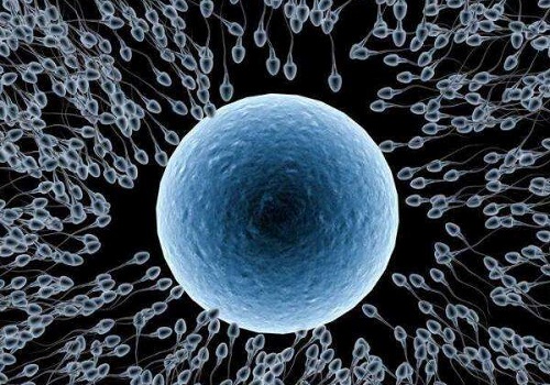 第三代試管嬰兒哪個俄羅斯醫(yī)院好