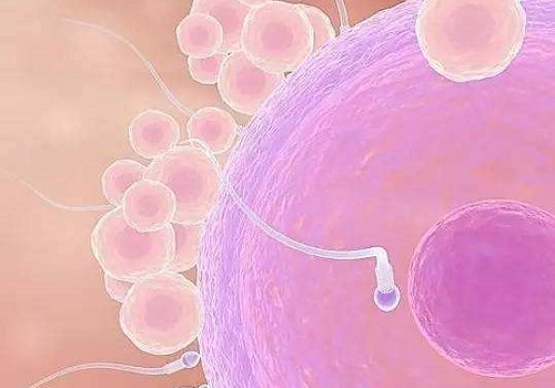 哪個(gè)醫(yī)院試管成功率最高