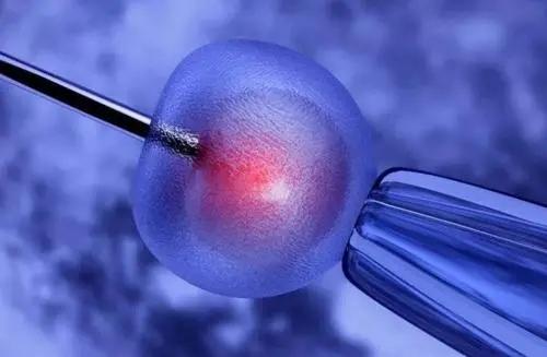 做試管嬰兒需要多少錢呢