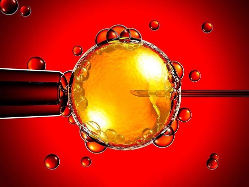 做第三代試管嬰兒需要多少錢