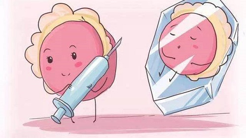 泰國試管嬰兒二代