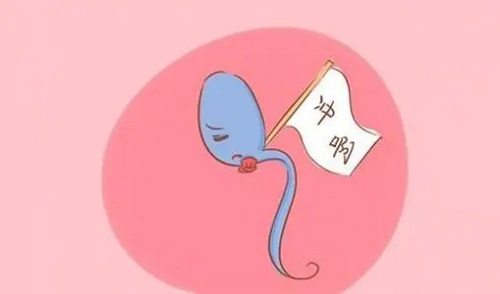 做個試管嬰兒費(fèi)用大概要多少錢?