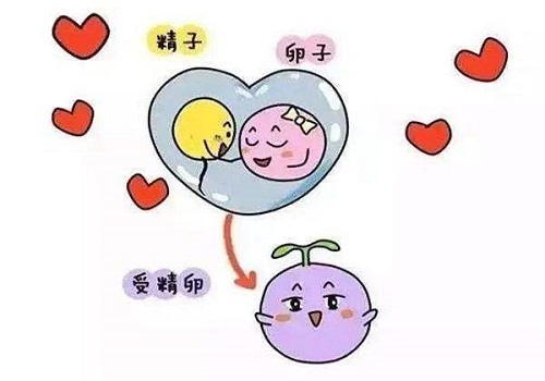 試管嬰兒費(fèi)用一般多少錢啊?