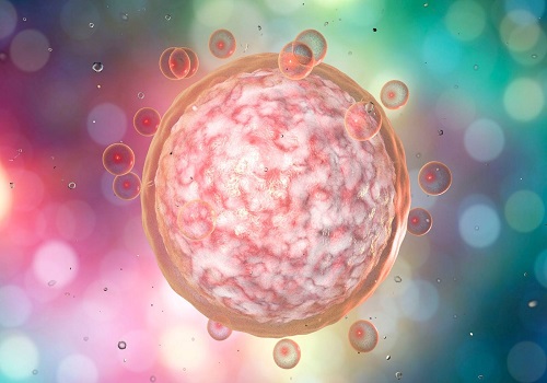 泰國試管從國內(nèi)到泰國的具體步驟