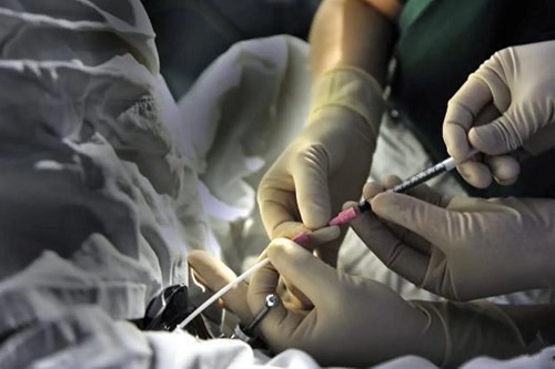 泰國第三代試管嬰兒怎么樣