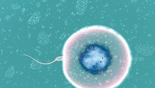 為什么大家都去泰國做試管嬰兒